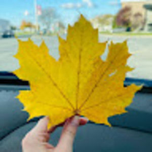 Meet your Posher, Alberto